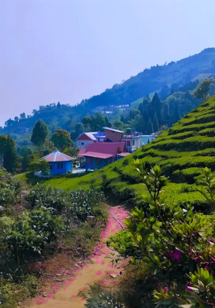 Sittong Tour Operator