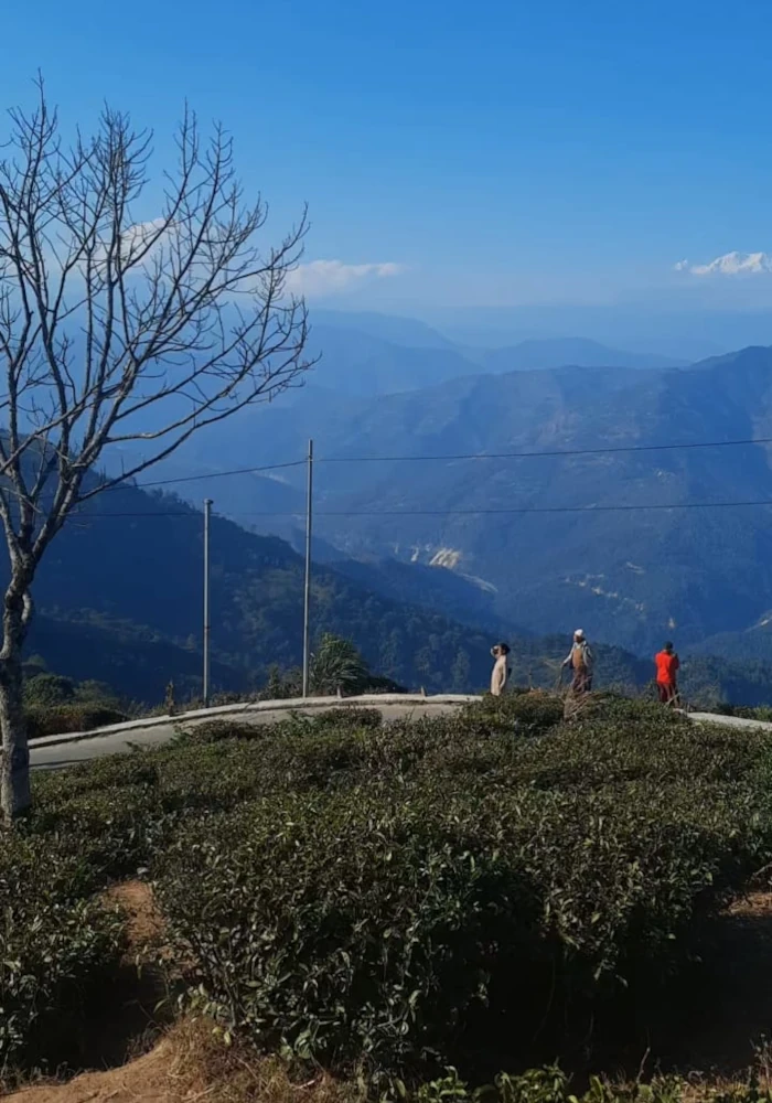 offbeat tour in North Bengal